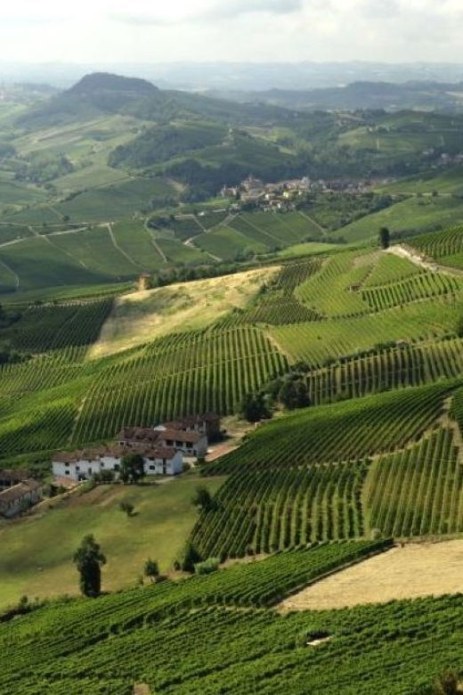 barolo-guided-scenic-e-bike-tour-with-wine-tasting