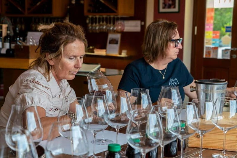 BAROLO: GUIDED VISIT TO THE WINERY AND TASTING WITH THE PRODUCER - Key Points