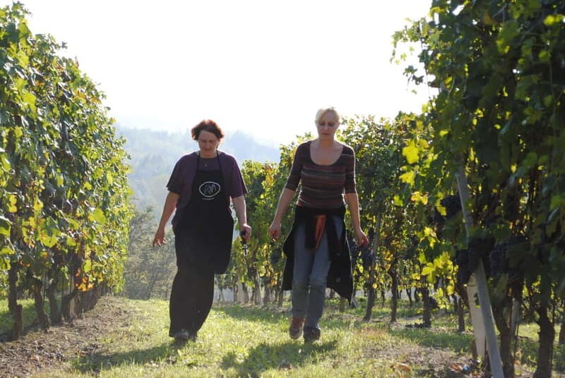 BAROLO: GUIDED VISIT TO THE WINERY AND TASTING WITH THE PRODUCER - FAQ