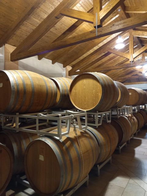 barolo-langhe-wine-tour