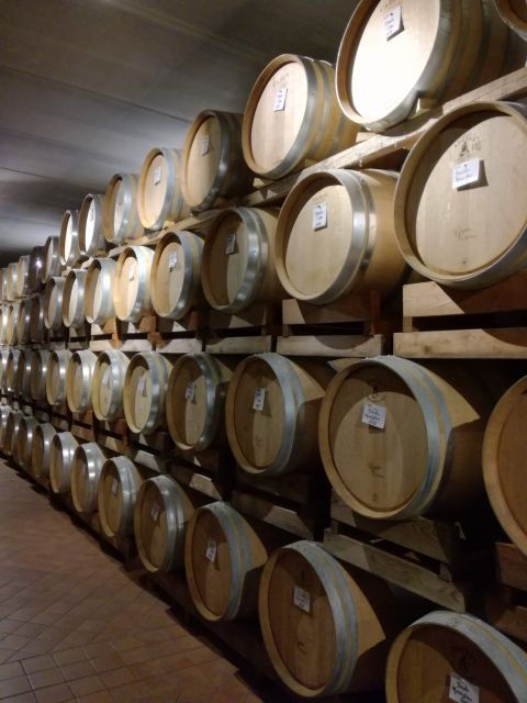 barolo-langhe-wine-tour