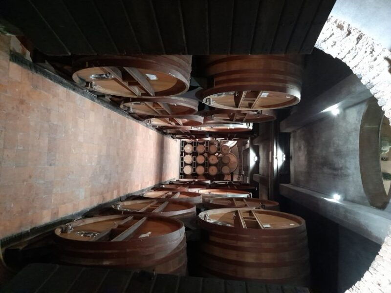 barolo-truffle-hunting-and-wine-tasting