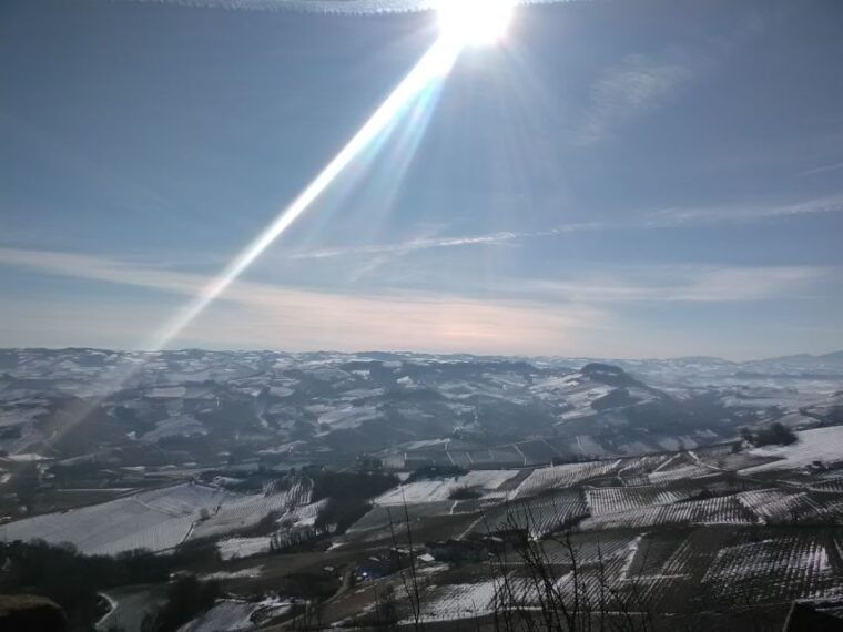 barolo-truffle-hunting-and-wine-tasting