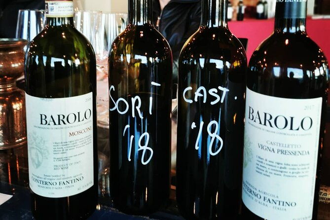 barolobarbaresco-wine-tour-with-a-local-winemaker-from-alba-2