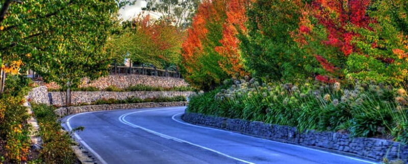 Barossa and Hahndorf Hill Tour - What Reviewers Say