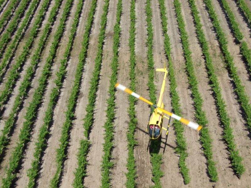 Barossa Valley: 10-Minute Scenic Helicopter Flight - An In-Depth Look at the Helicopter Experience