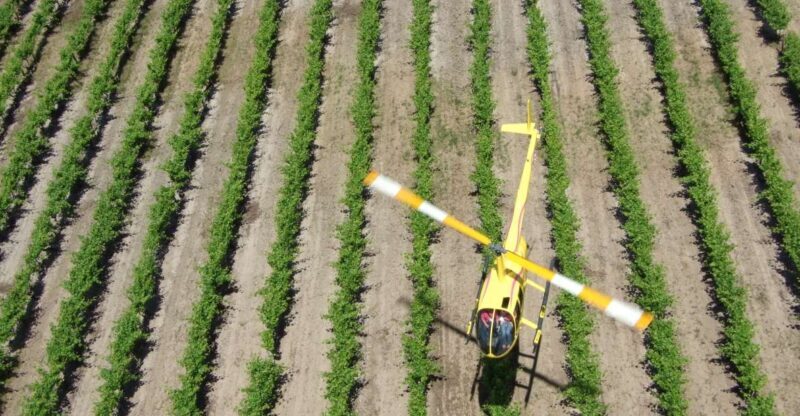 Barossa Valley: 10-Minute Scenic Helicopter Flight - Who Will Love This Tour?