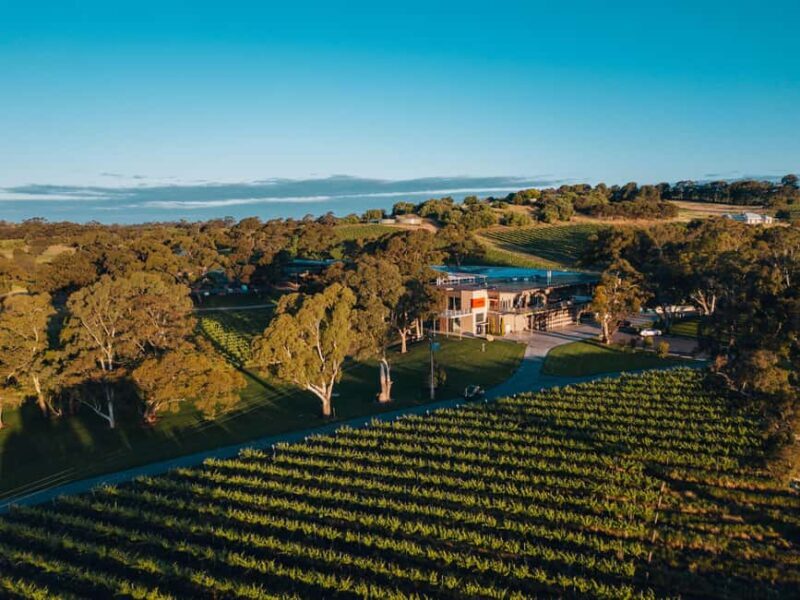 Barossa Valley: Canape and Wine Pairing at Lambert Estate - Why This Experience Stands Out