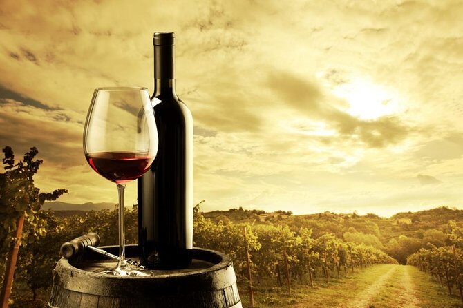 Barossa Valley Cellar Door Small Group Tour - Exploring the Barossa Valley Cellar Door Small Group Tour