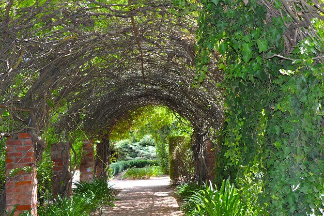 Barossa Valley Cellar Door Small Group Tour - The Itinerary in Detail: What to Expect