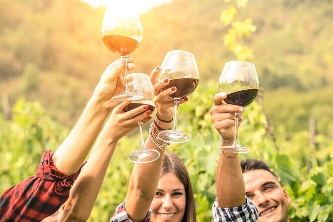 Barossa Valley Cellar Door Small Group Tour - Who Would Love This Tour?