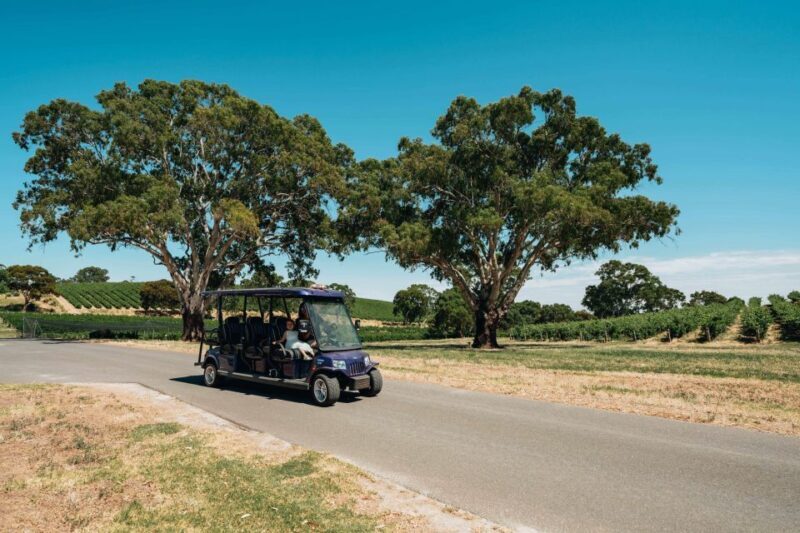 Barossa Valley: EcoVine Explorer - e-cart vineyard tour - The Experience in Detail