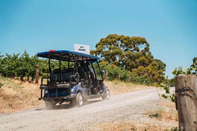 Barossa Valley: EcoVine Explorer - e-cart vineyard tour - Who Will Love This Tour?