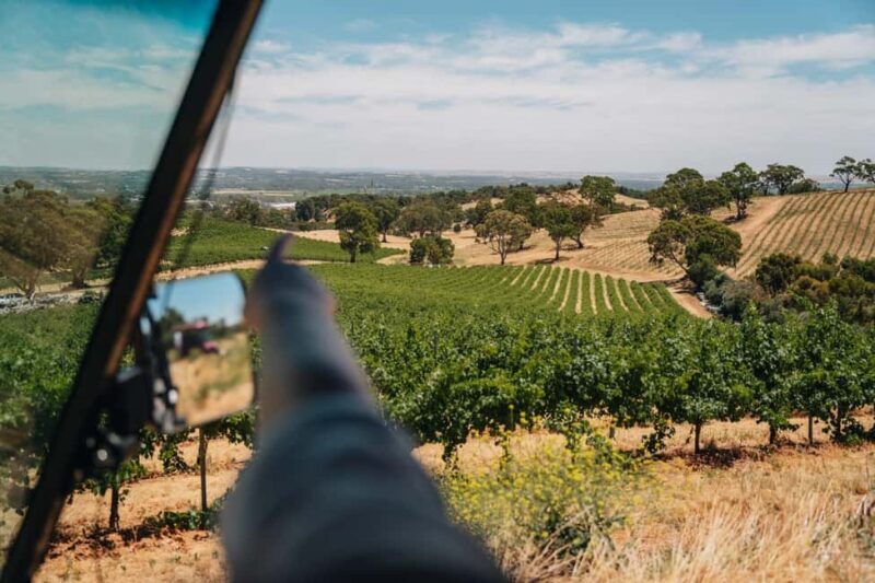 Barossa Valley: EcoVine Explorer - e-cart vineyard tour - The Sum Up
