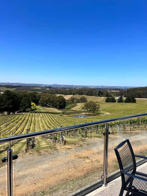 Barossa Valley: Gourmet Food & Wine Tour with Cheese Tasting - Who Will Love This Tour?