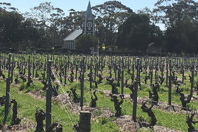 Barossa Valley Private Luxury Tour - Why the Private Luxury Tour Stands Out