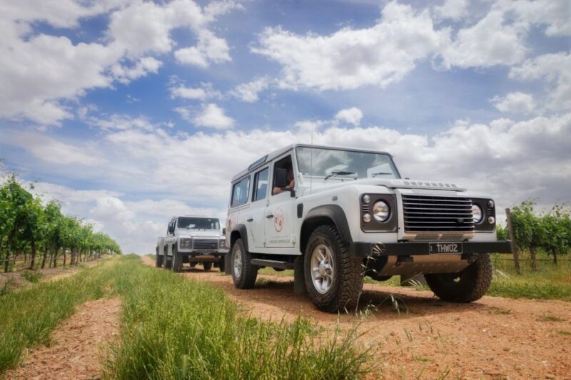 Barossa Valley: Two Hands Flagship Vineyard Experience - What Sets This Tour Apart?