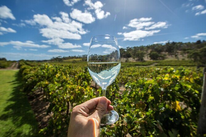Barossa Valley Wine Tour Tastings and Lunch Included - Exploring the Barossa Valley Wine Tour: Tastings and Lunch Included