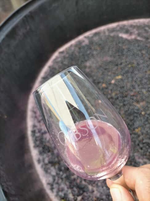Barossa: Wine Tasting Tour including Lunch - Potential Drawbacks or Considerations