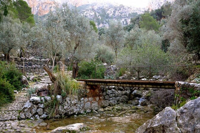 barranc-de-biniaraix-half-day-hike