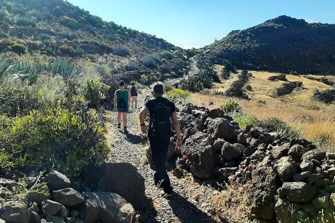 Barranco de las Vacas, caves & village by 2 native guides - The Itinerary Breakdown