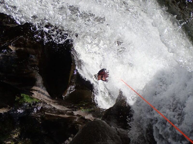Barranquisme Vall de Núria - Girona - What Makes This Canyoning Tour Stand Out?