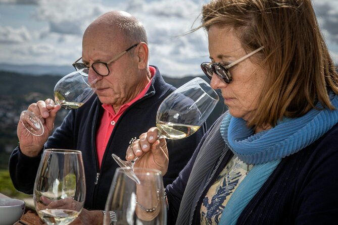 barrel-tasting-quinta-de-santa-cristina-vinho-verde