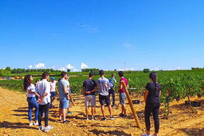 barrels-and-dishes-of-typical-local-gastronomy