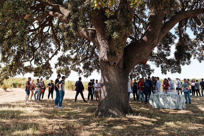 barrels-and-dishes-of-typical-local-gastronomy