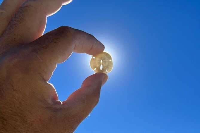 barrier-island-shelling-tour-2