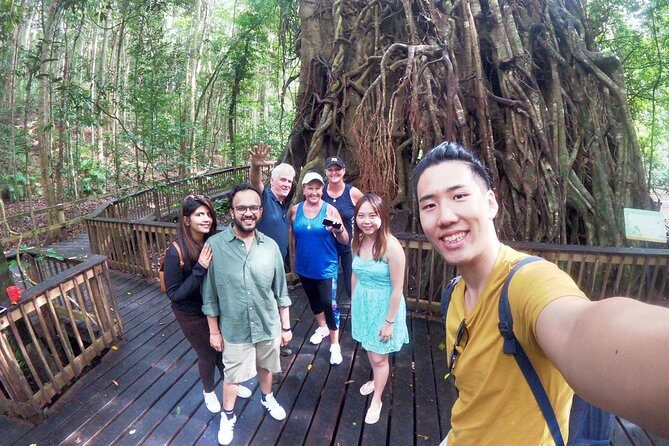 Barron Gorge and Kuranda National Park Half Day Rainforest and Waterfall 4WD Tour from Cairns - An Authentic Look at Queensland’s Natural Landscape