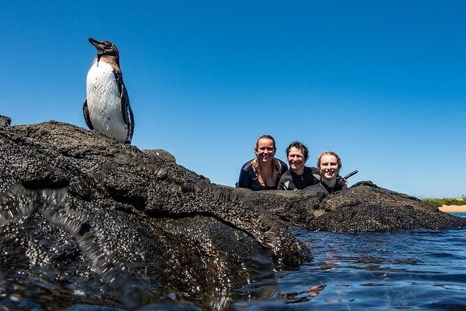bartolome-island-on-board-of-sea-lion-yacht