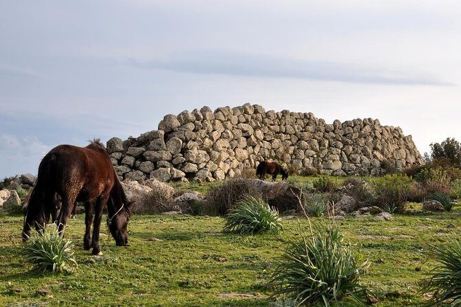 Barumini Unesco Site and Giara of Gesturi Tour from Cagliari - Who Should Consider This Tour?