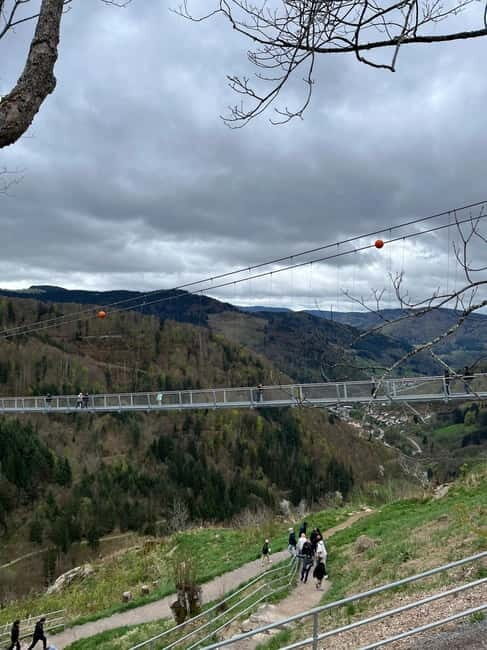 Basel: Black Forest, Waterfall &Mountain, Lakes Private Tour - The Journey Begins: From Basel into the Black Forest