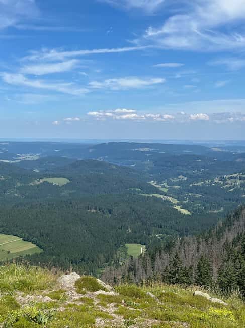 Basel: Black Forest, Waterfall &Mountain, Lakes Private Tour - Lakeside Charm and a Taste of Black Forest Culture