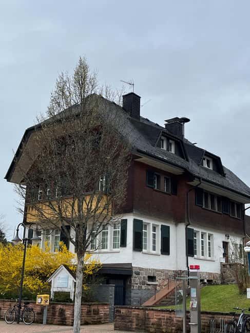 Basel: Black Forest, Waterfall &Mountain, Lakes Private Tour - Evaluating the Value
