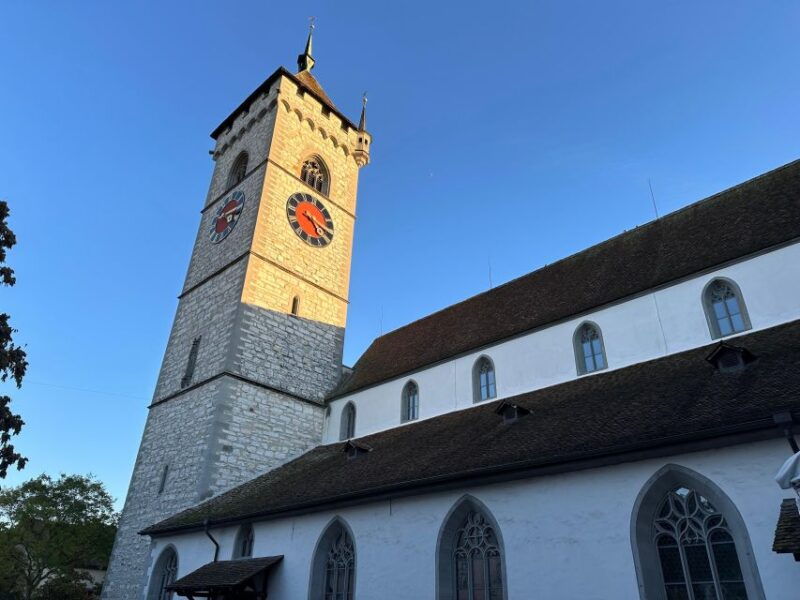 Basel: Schaffhausen & the Rhine's Largest Falls Private Tour - Key Points