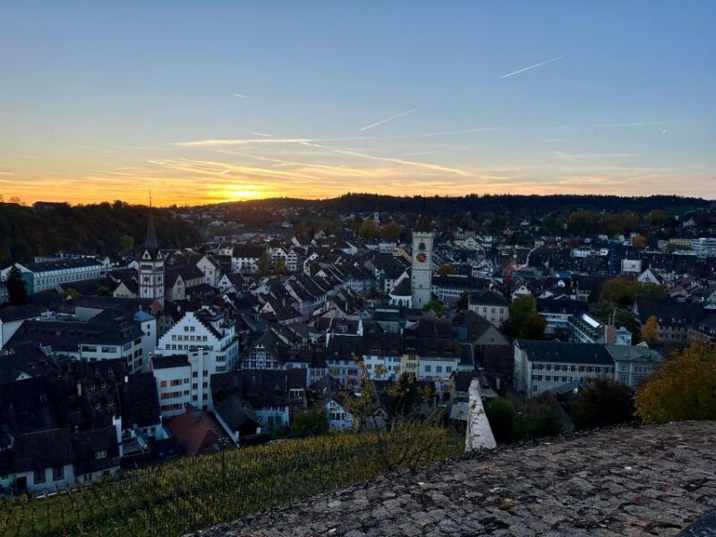 Basel: Schaffhausen & the Rhine's Largest Falls Private Tour - Transportation and Itinerary Flow
