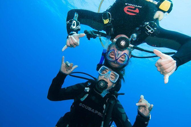 Basic Diver course for beginners with 1 dive in the Ocean - Key Points