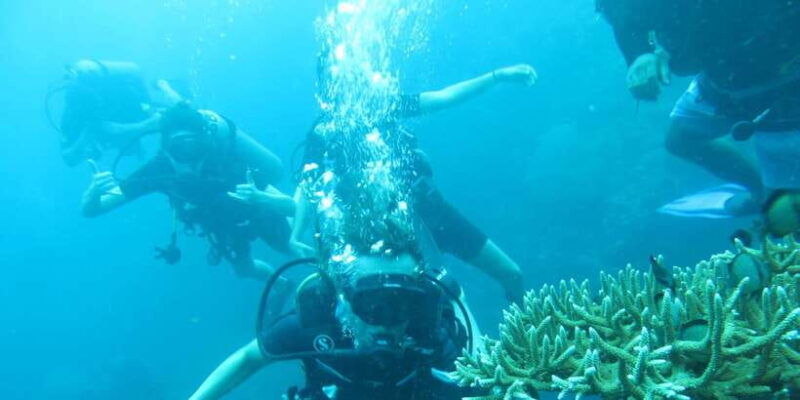 basic-fun-dive-at-menjangan-island-2