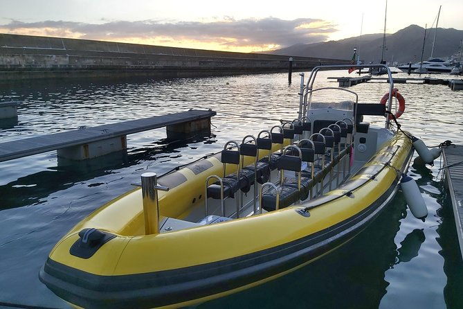 basic-tour-1-cais-do-sardinha-to-quinta-do-lorde-one-way