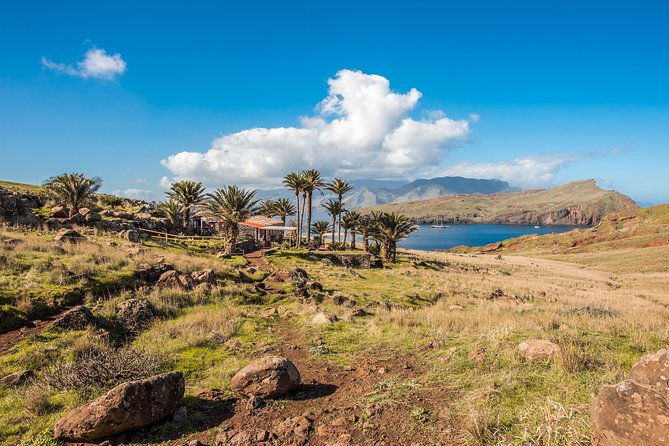 basic-tour-1-cais-do-sardinha-to-quinta-do-lorde-one-way