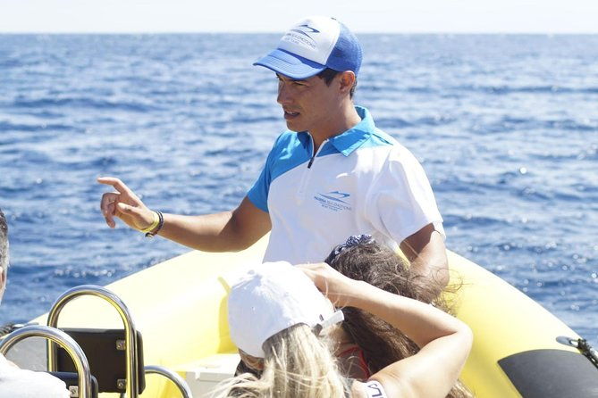 basic-tour-1-shuttle-quinta-do-lorde-to-cais-do-sardinha-one-way