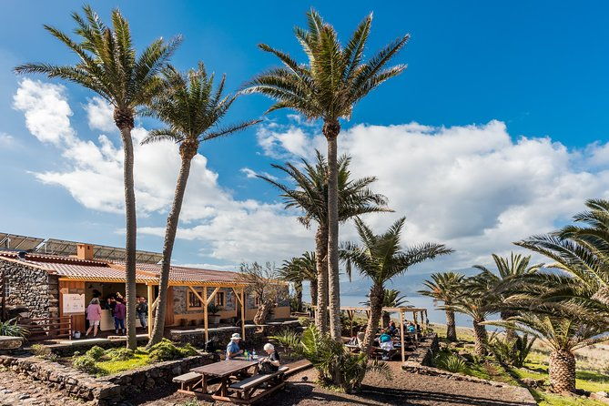 basic-tour-2-quinta-do-lorde-to-cais-do-sardinha-and-return