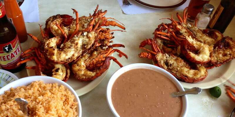 Basic Wine Route: Guadalupe Valley, Baja California - Who Is This Tour Perfect For?