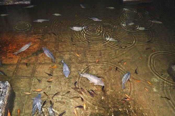 Basilica Cistern Skip the Line Ticket - Practical Details