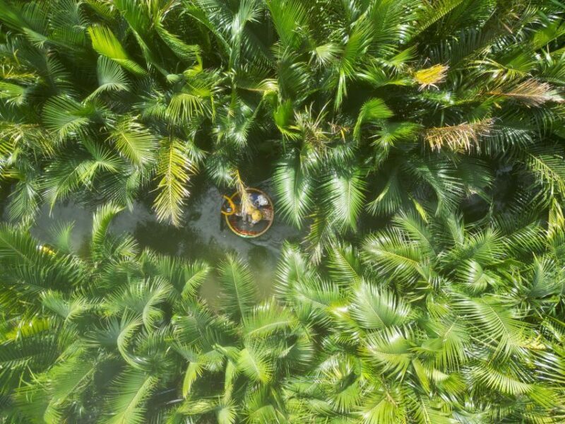 Basket Boat at Coconut Village, Kitchen Show and Big Lunch - Exploring the Basket Boat at Coconut Village, Kitchen Show, and Big Lunch: An Authentic Vietnamese Experience