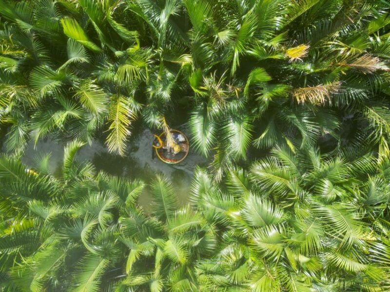 basket-boat-at-coconut-village-kitchen-show-and-big-lunch