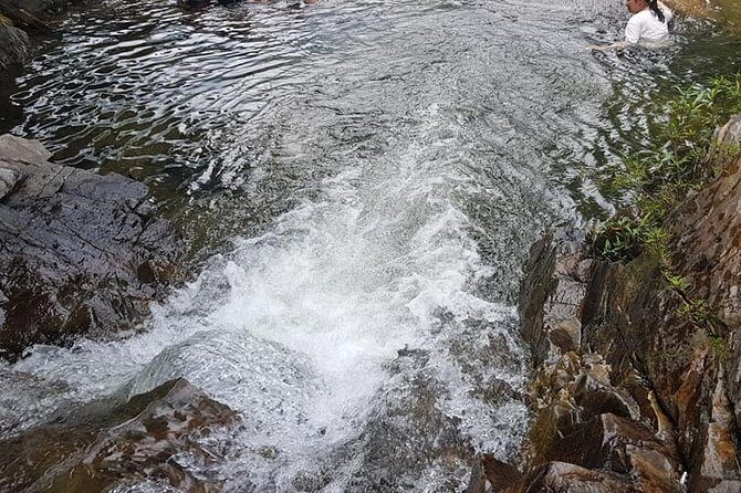 Basket Boat Ride to Coconut Jungle &Hoi An city Tour-Night Market - FAQs