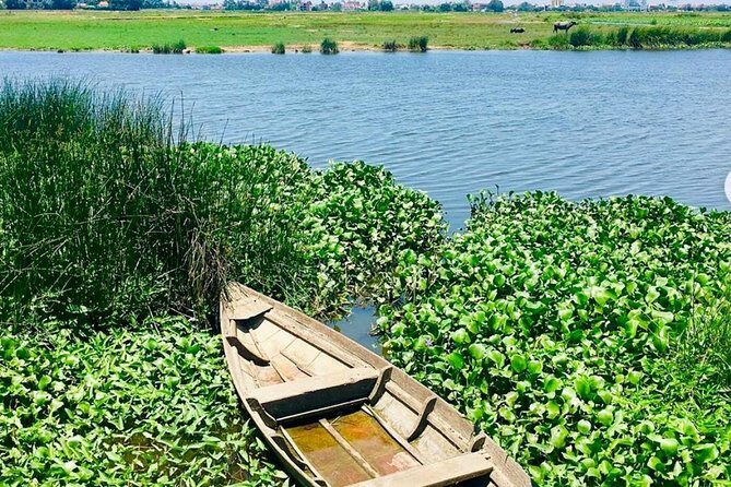 Basket Boat Riding and Cooking Class from Da Nang City - The Sum Up